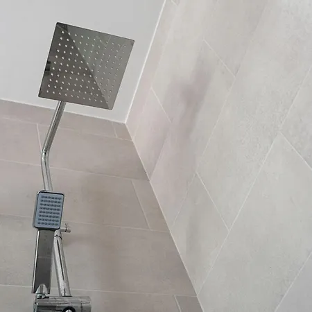 Lola - Solo Familias