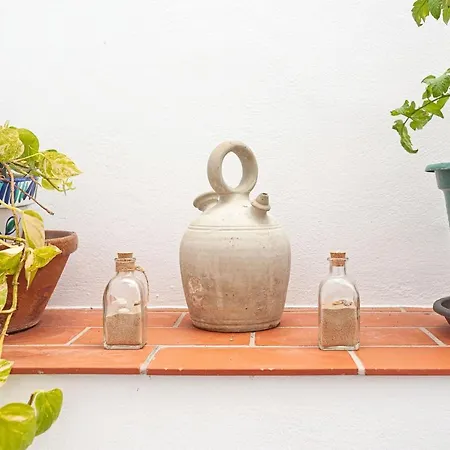 Lola - Solo Familias 콘일데라프론테라