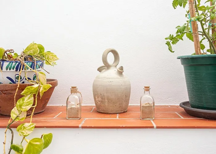 Lola - Solo Familias Conil De La Frontera